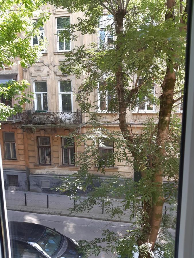 Cosy flat Appartement Lviv Buitenkant foto
