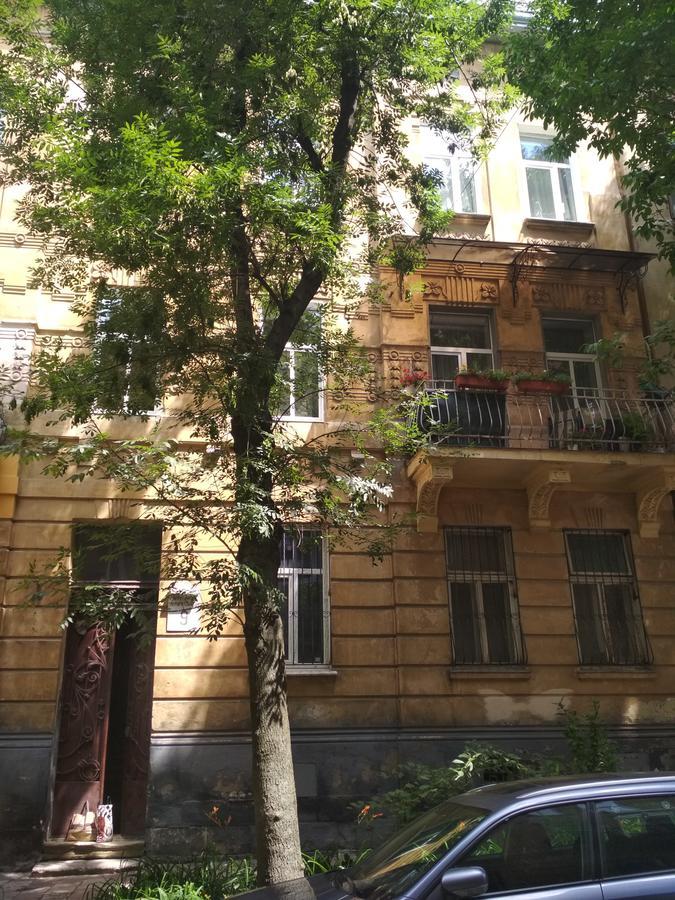 Cosy flat Appartement Lviv Buitenkant foto